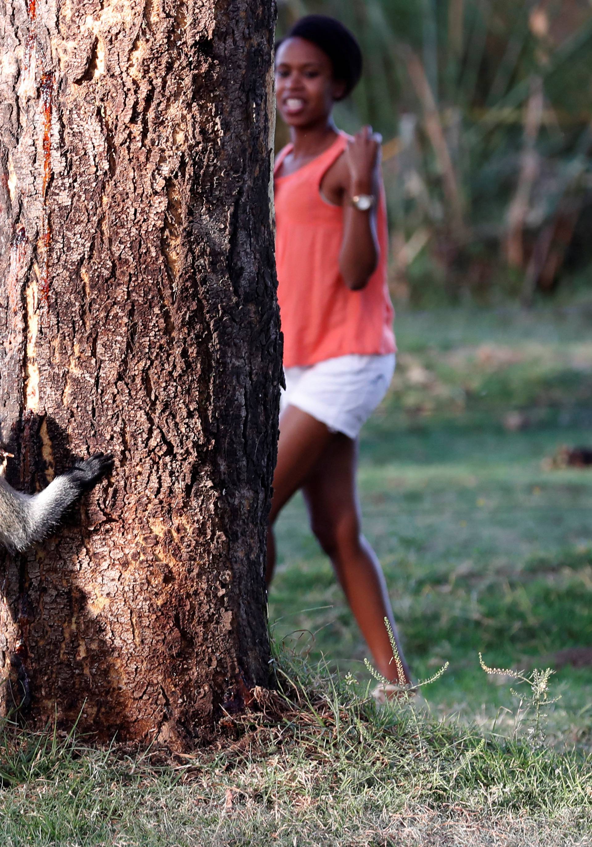 A woman passes in front of a vervet monkey on the shores of lake Naivasha
