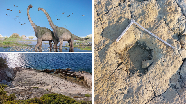 Veliko otkriće: U Svetom Mikuli pronašli tragove stopa dinosaura stare 90 mil. godina!