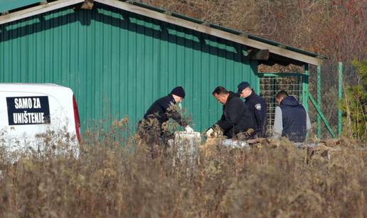 Vlasnica pobjegla u Švicarsku, a  43 psa pobili su kamatari?