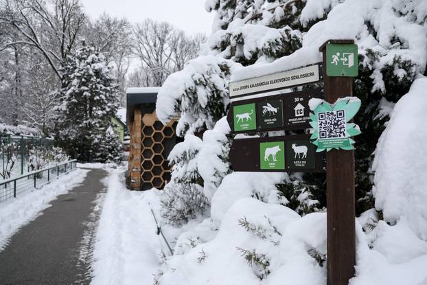 Zagreb: Snježno prijepodne u zoološkom vrtu