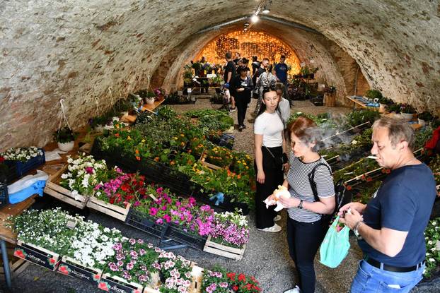 Slavonski Brod: Sajam cvijeća, sadnica, presadnica i cvijetnih dekoracija - Florafest 2026.