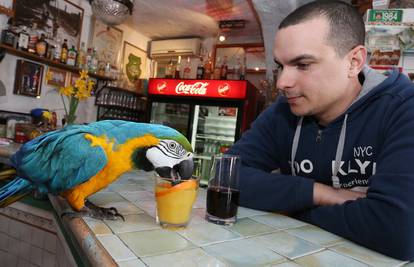 Pozdravlja goste: Rio pije sok, uživa u čaši piva i jede baš sve 