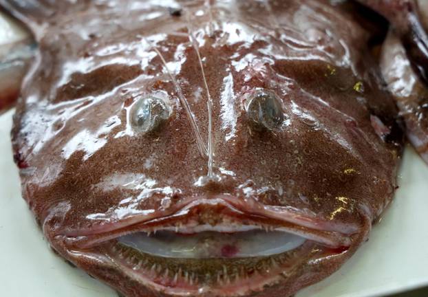 Šibenik: Skromna ponuda srdela i ostale ribe na ribarnici