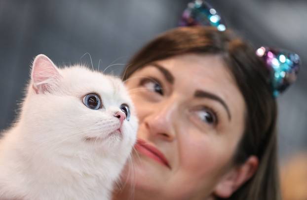 FOTO Otvorena Svjetska izložba mačaka u zagrebačkom Family Mallu! Traje i tijekom nedjelje