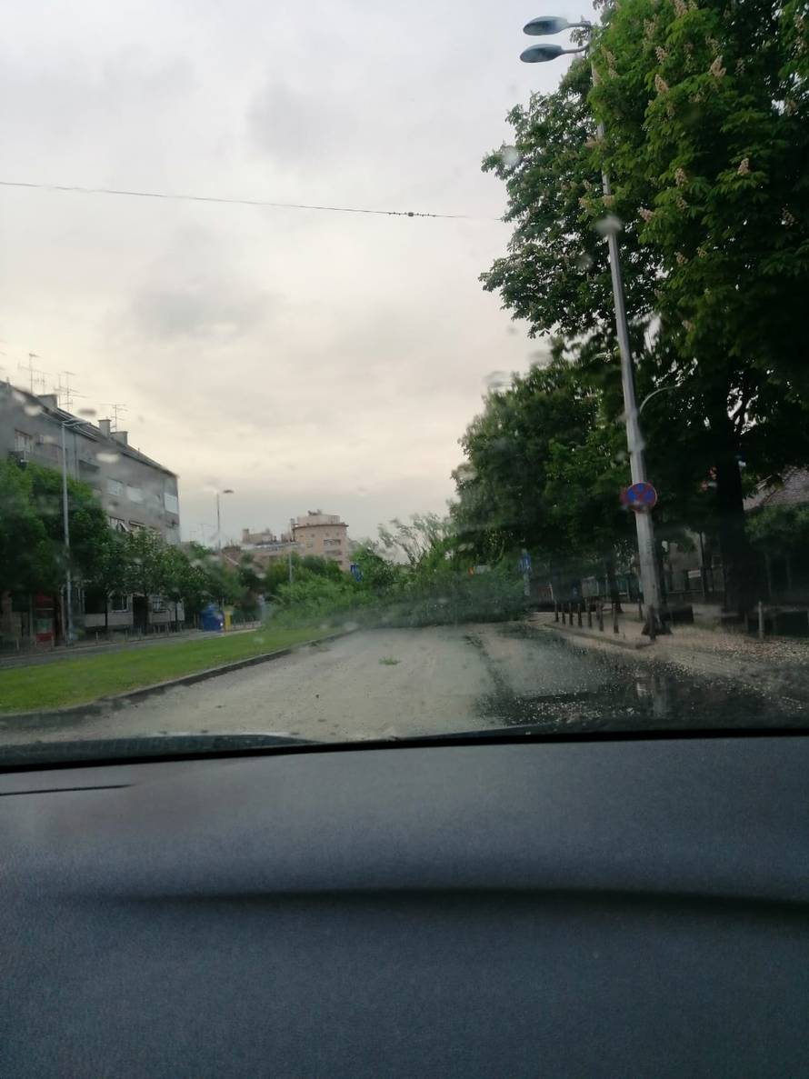 Vatrogasci rade od ranog jutra: Vjetar srušio stablo na cestu...