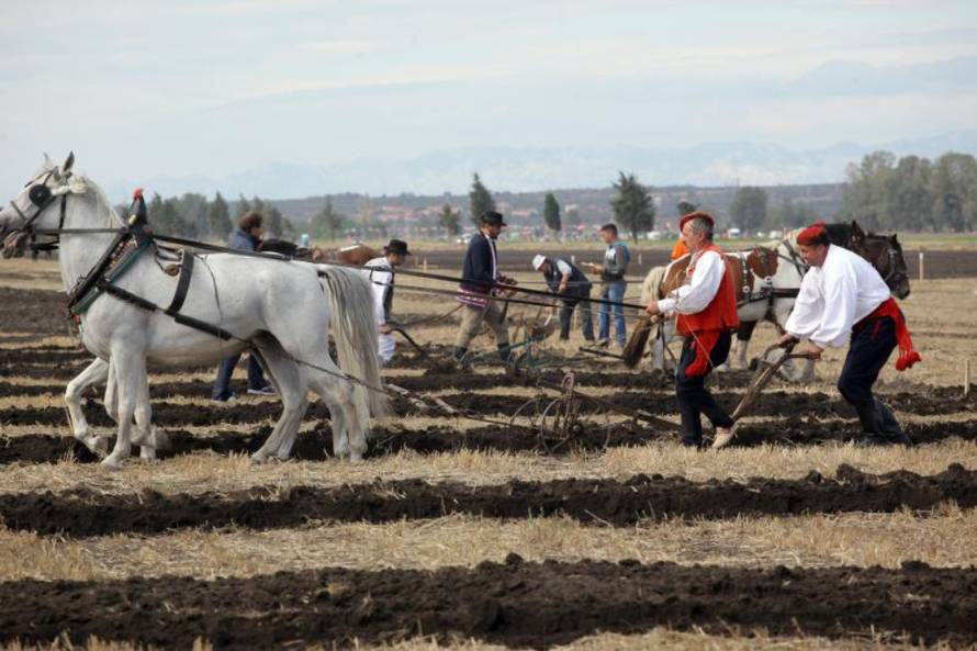 Željko Mršić/Pixsell