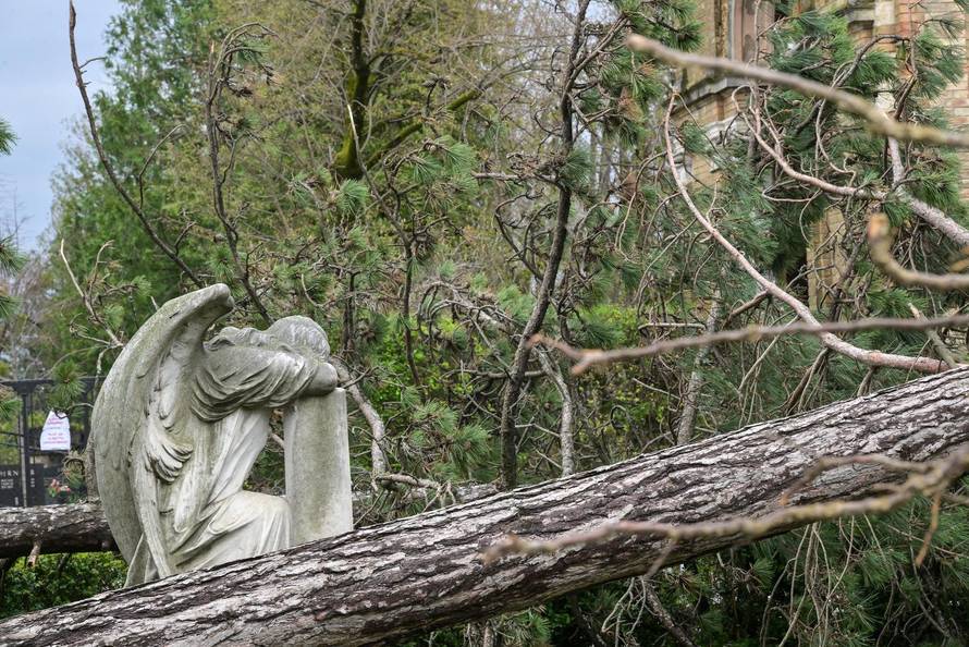 Zagreb: U nevremenu teško  oštećeno gradsko groblje Mirogoj