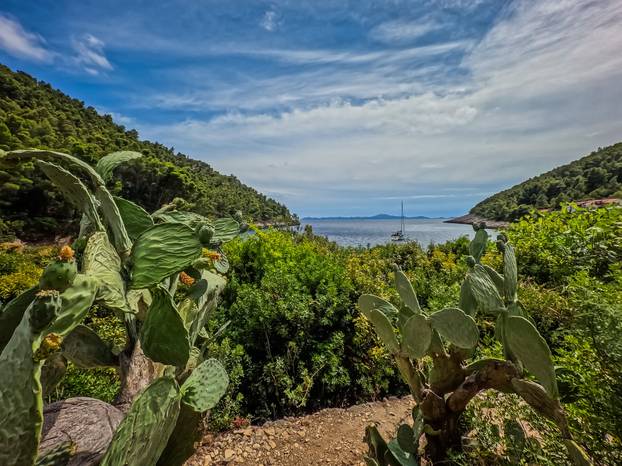 Uvala Pupnatska Luka na otoku Korčuli