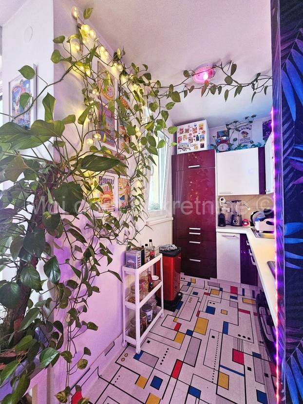 FOTO Prodaje se 'egzotični' stan u Zagrebu. Flamingosi, palme i disco u 36m2! Cijena mu je hit...