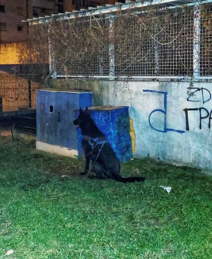 Na tržnici u Zagrebu prodavao duhan i cigarete, policijski pas mu nanjušio tajno skrovište