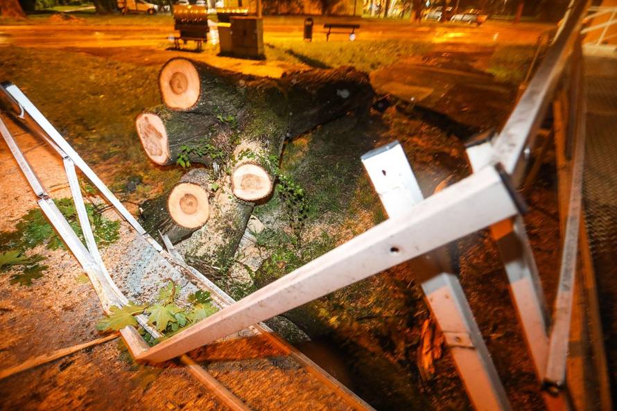 Zagreb: Vjetar srušio stablo na invalidski prilaz stambene zgrade