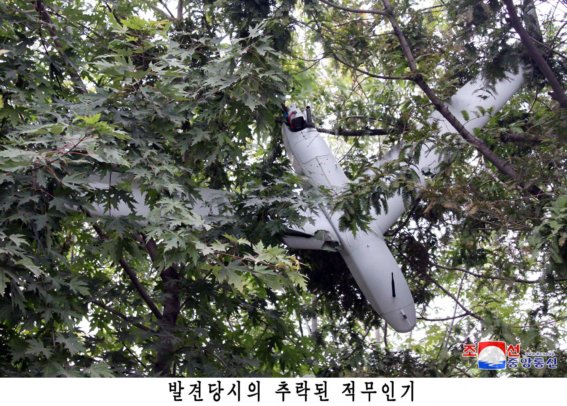 The remains of a crashed drone are shown in a photo released by North Korea's official Korean Central News Agency