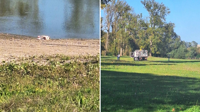 Na obalu Save kod Slavonskog Broda isplivala svinja: Netko ju je planirao spremati na ražnju?