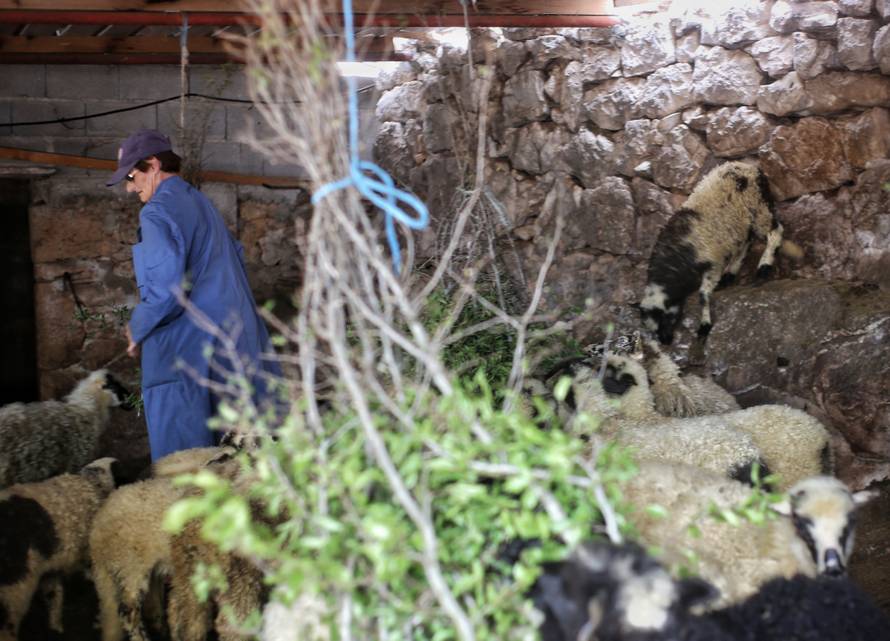 Bake iz Donjih i Gornjih Utora u Zagori: 'Nećete nas čipirati!'
