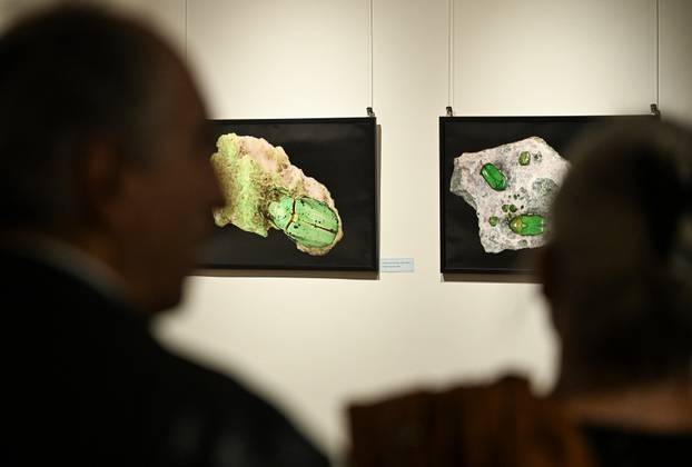 Zagreb: Otvorenje izložbe  Savršenstvo evolucije – Razotkrivanje