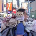 Svoje mačke  vodi na putovanja po svijetu: 'Nigdje ne idemo bez njih, obožavaju istraživati'