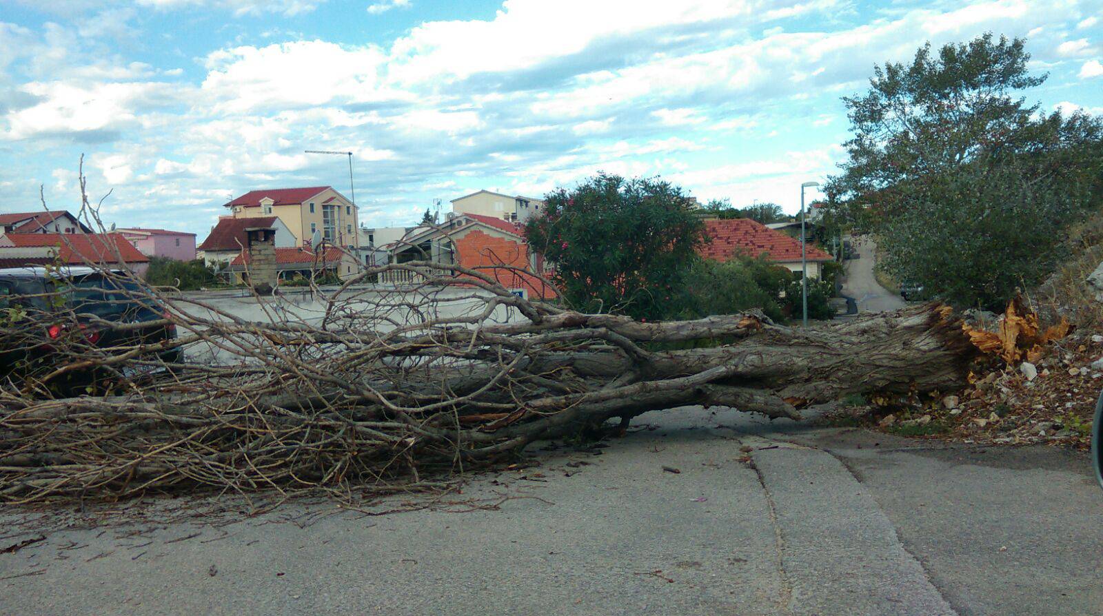 Nevrijeme na Jadranu: Bujice poplavile ceste, padala stabla