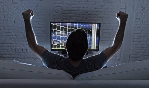 Dnevnik sportskog fanatika