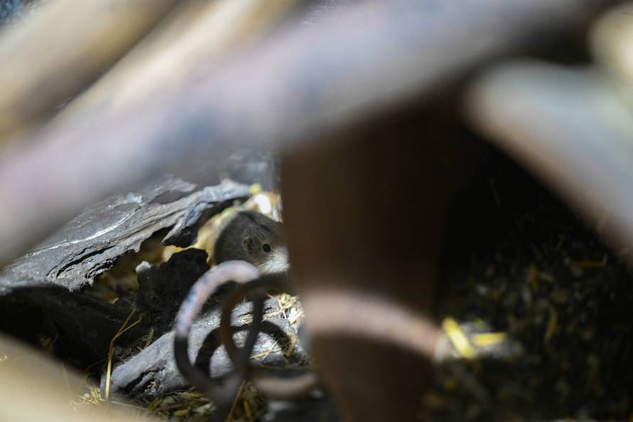 24sata Zagreb: Rodilište u Zoološkom vrtu