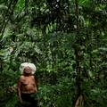 Raoni Metuktire apelira: 'Ako se krčenje šuma ne zaustavi doći će do velike katastrofe'