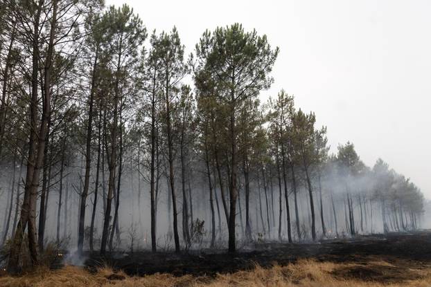 Wildfires rage in southern France