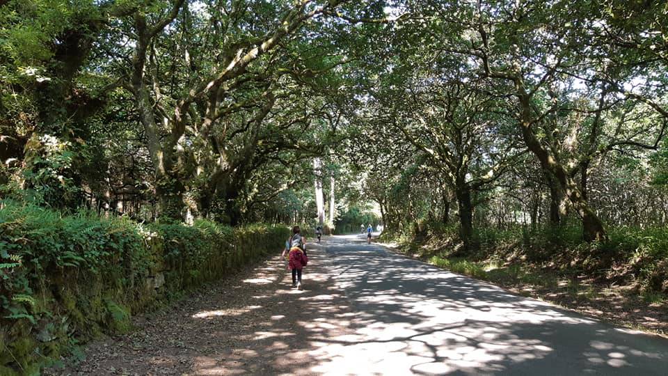 Nenad je pješačio čak 799 km: 'Camino je susret s Bogom...'