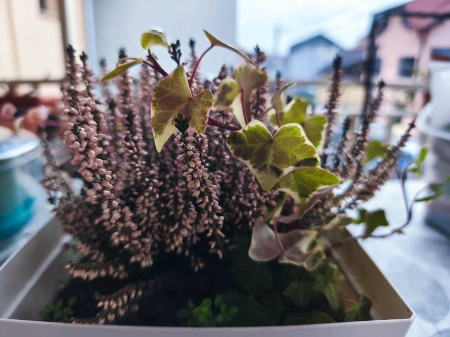 Isprobali smo Redmi Note 14 Pro i Pro Plus. Ovi blizanci iz Xiaomija kriju bitne razlike