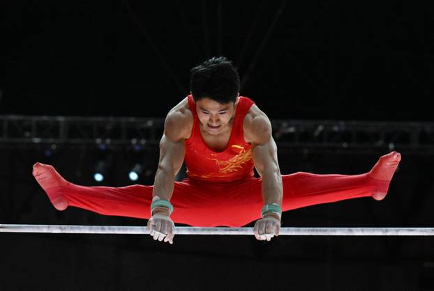 2025 World Artistic Gymnastics Championships