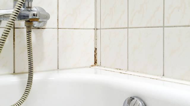 Mould,In,A,Bathroom,And,The,Tiles