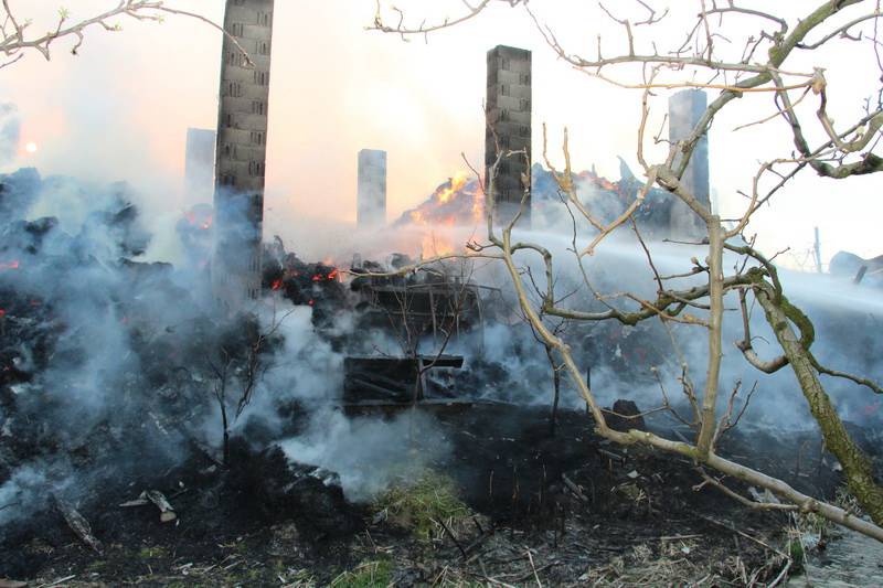 Staja izgorjela, krov se urušio: U zadnji tren spasili životinje