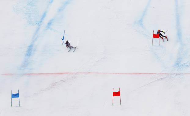 FIS Alpine World Ski Championships