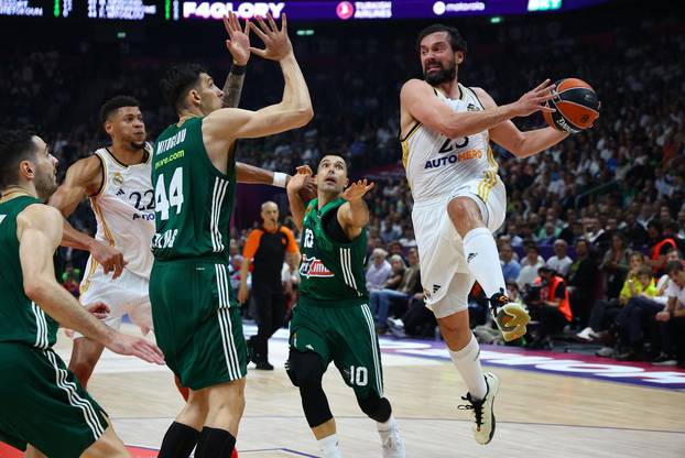 EuroLeague - Final - Real Madrid v Panathinaikos BC