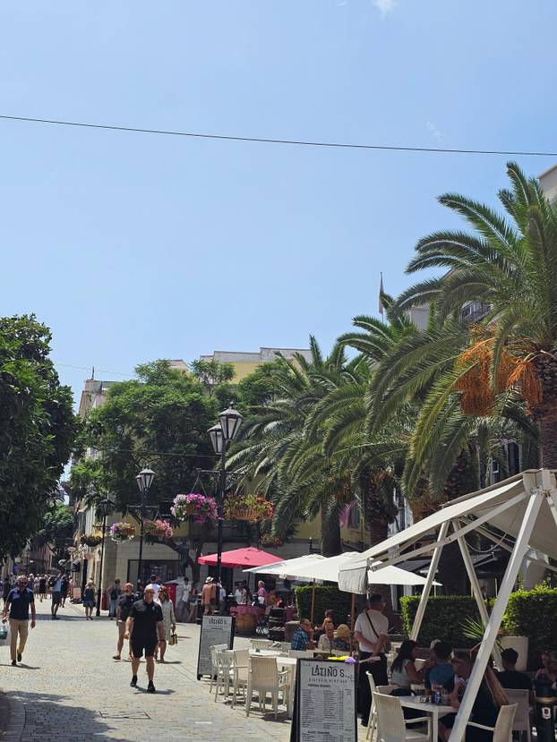 FOTO Majmuni su nam skakali po glavama na Gibraltaru i jeli iz ruke. Mame su pokazale zube