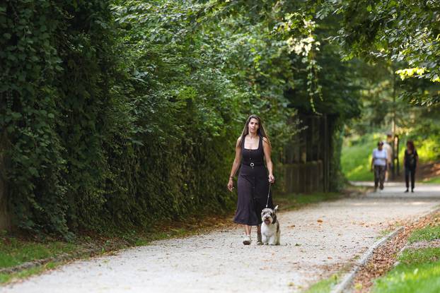 Zagreb: Hrvatska kujica Meghan proglašena najljepšim psom na svijetu