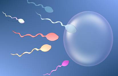 Istu jajnu stanicu su oplodila dva spermija, blizanci su čudo