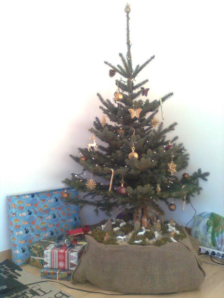 Šaljite fotografije božićnih jelki i osvojite vrijednu nagradu...