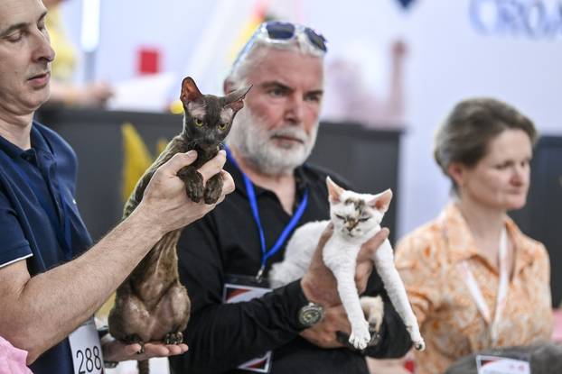 Zagreb: Međunarodna izložba mačaka WCF Cat Olimpia 2025