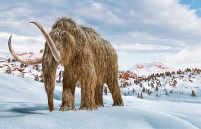 Američka tvrtka želi do 2028. stvoriti mamuta i pticu dodo: Možda nisu gledali Jurassic Park