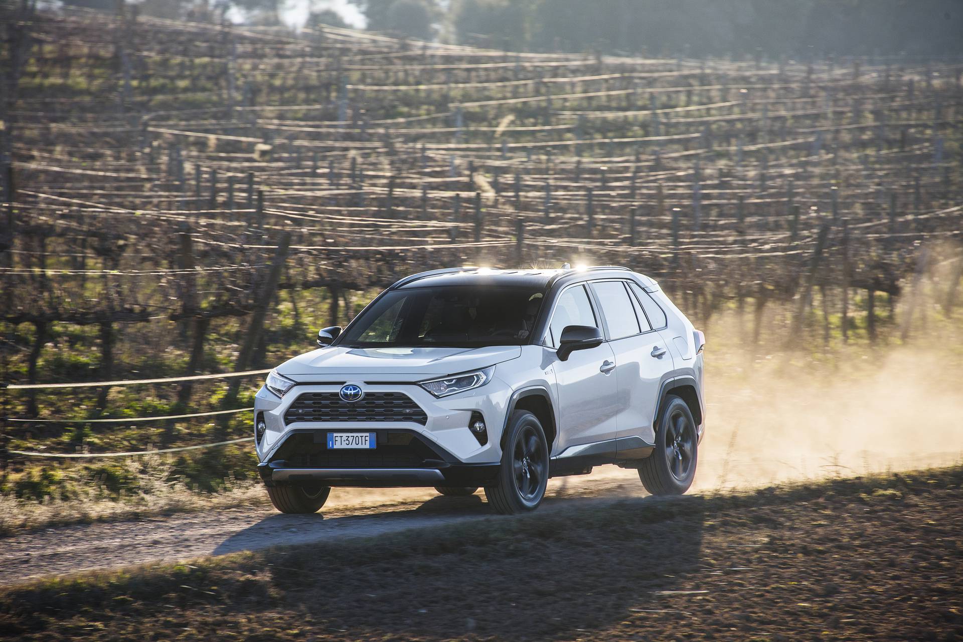 Рав 5 2019. Toyota rav4 2019. Toyota rav4 5 поколение. Toyota rav4 2020. Toyota rav4, 2019г..