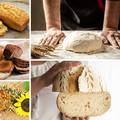 Tajna dobrog kruha: Tijesto se diže jedan sat pa se premijesi