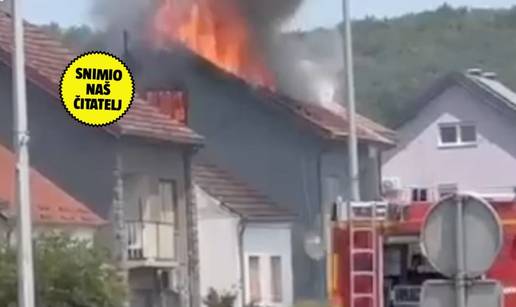 VIDEO U Oku&ccaron;anima gori ku&cacute;a!
