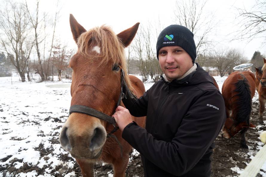 Da ove kobile nisu kod nas, vjerojatno bi bile u kobasama...