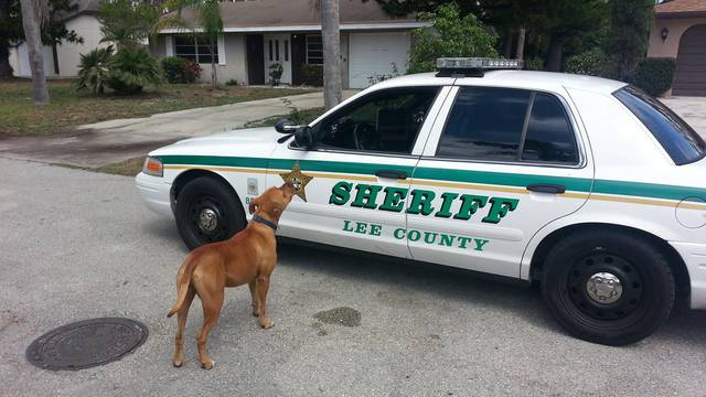 Lee County Sheriff's Office 