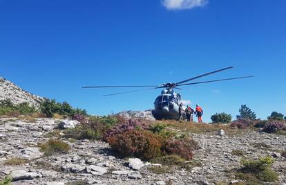 Dvije akcije HGSS-a zbog uboda stršljena: Planinar na Mosoru je izgubio svijest radi jake reakcije