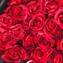 Bright red roses arranged elegantly on a black background for a striking visual display