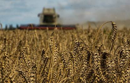 Rusija obustavlja sporazumu o izvozu žitarica: Čim ruski dio sporazuma bude ispunjen...