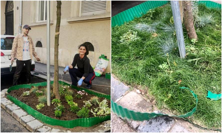 Posadili mini vrt u Zagrebu, pa im stigla novčana kazna: 'Ovo je sramota, nećemo to platiti'