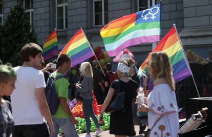 'Zakon napada i ugrožava sve obitelji. Oduprimo se nasilju!'