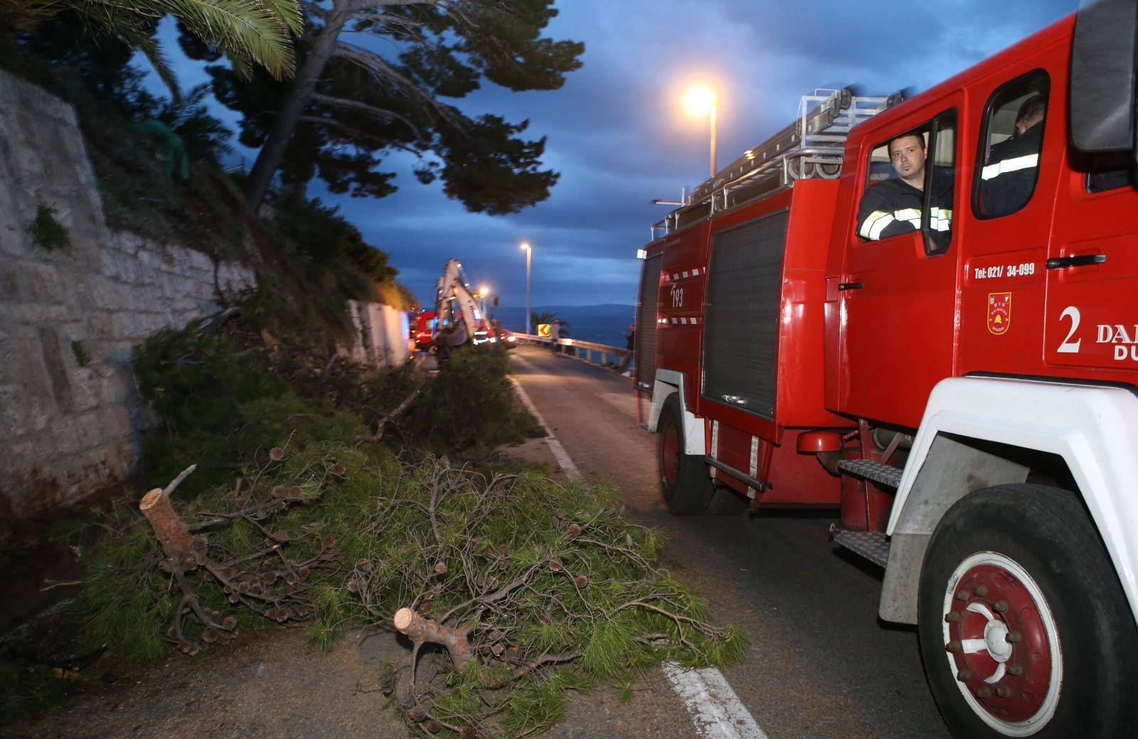 Split: Mjesto nesreÄe gdje je na autobus palo stablo