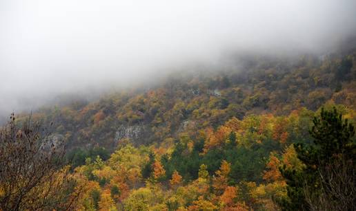 FOTO Jesenska idila: Ćićarija se 'probudila' uronjena u maglu
